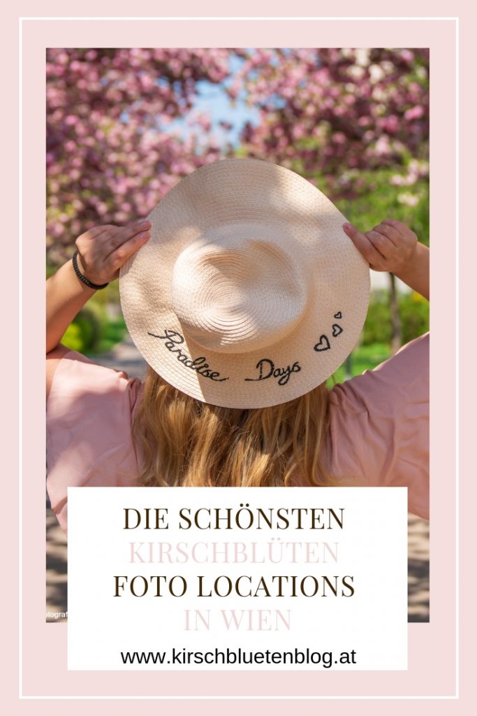 beste Kirschbluten Foto Location Wien